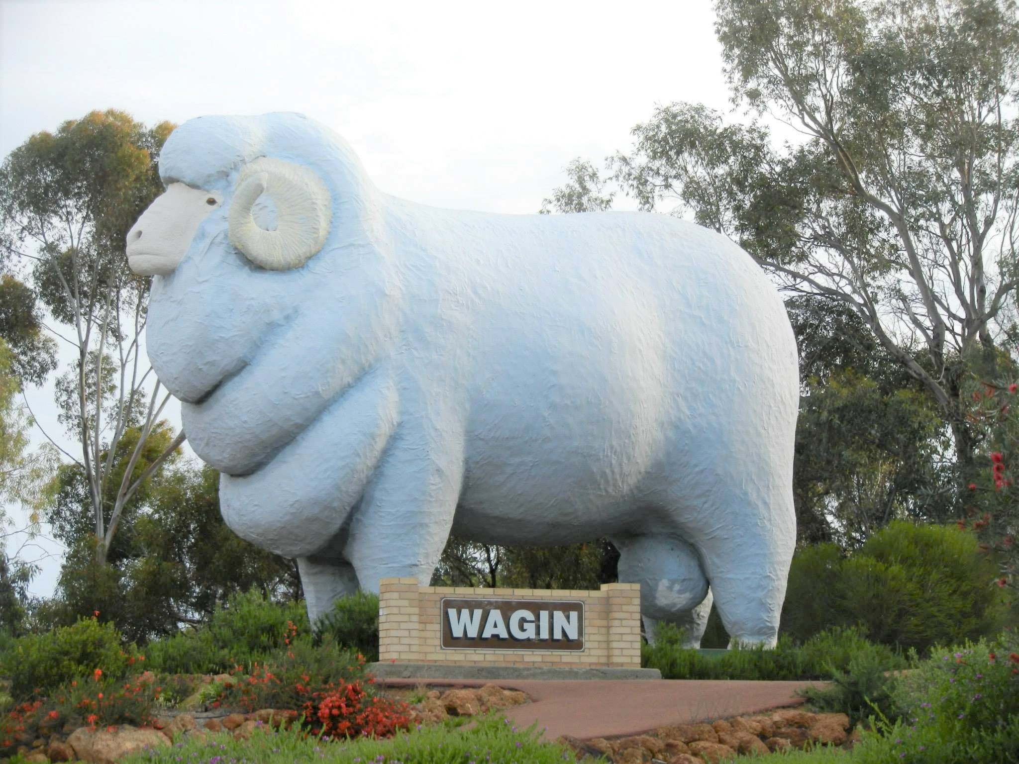 wagin south west australia road trip
